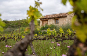 ep finca ecologica de familia fernandez rivera