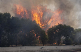 ep incendio forestal 20260727142504