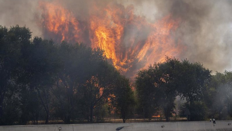 ep incendio forestal 20260727142504