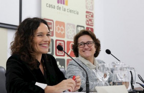 ep la eurodiputada socialista y vicepresidenta de la comision de industria en la eurocamara lina