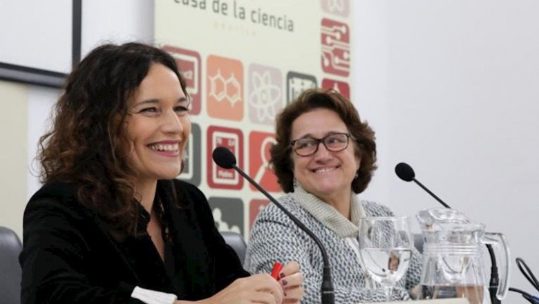 ep la eurodiputada socialista y vicepresidenta de la comision de industria en la eurocamara lina