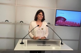ep la portavoz adjuntajxcatparlament gemma geis
