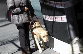 ep personas ciega con perro guia