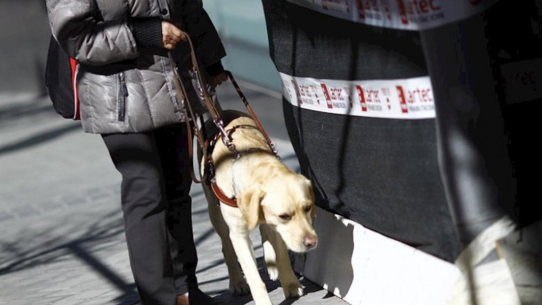 Personas ciega con perro guía | EUROPA PRESS - Archivo ep personas ciega con perro guia