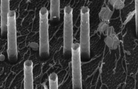ep una imagen electronica de barrido de los nanotubos huecos utilizados para entregar adn a las