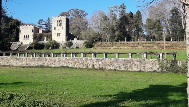 pazo meiras familia franco buena