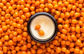 shutterstock 2480329433 1 1