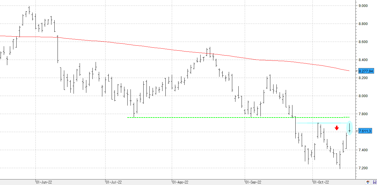 c181022ibex