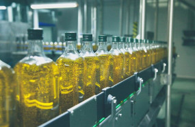 ep archivo   linea de envasado de aceite de oliva