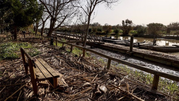 ep archivo restos de la dana en el puerto de catarroja de lalbufera ep archivo restos de la dana en el puerto de catarroja de lalbufera