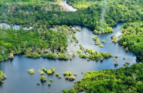ep archivo   vista aerea de la selva amazonica