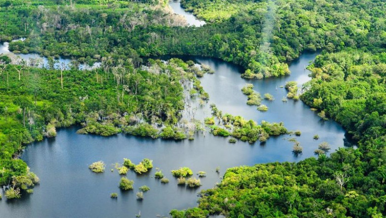 ep archivo vista aerea de la selva amazonica ep archivo vista aerea de la selva amazonica