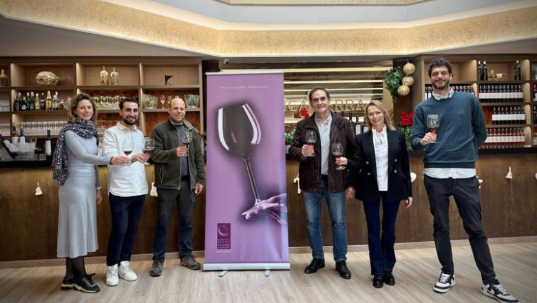 Associació de Petits Cellers presenta el balance | ASSOCIACIÓ DE PETITS CELLERS ep associacio de petits cellers presenta el balance