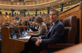 ep el presidente del pp alberto nunez feijoo durante una sesion de control al gobierno en el ep el presidente del pp alberto nunez feijoo durante una sesion de control al gobierno en el