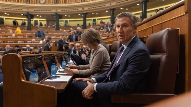 ep el presidente del pp alberto nunez feijoo durante una sesion de control al gobierno en el