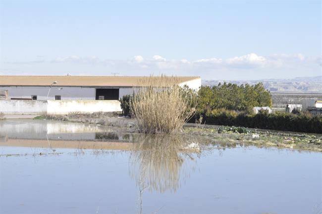 Granja afectada por la crecida del Ebro en la Ribera Alta de Zaragoza | EUROPA PRESS ep granja afectadala crecidaebrola ribera altazaragoza