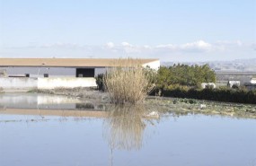 ep granja afectadala crecidaebrola ribera altazaragoza