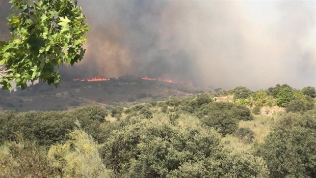 ep incendiomontesionla bastida