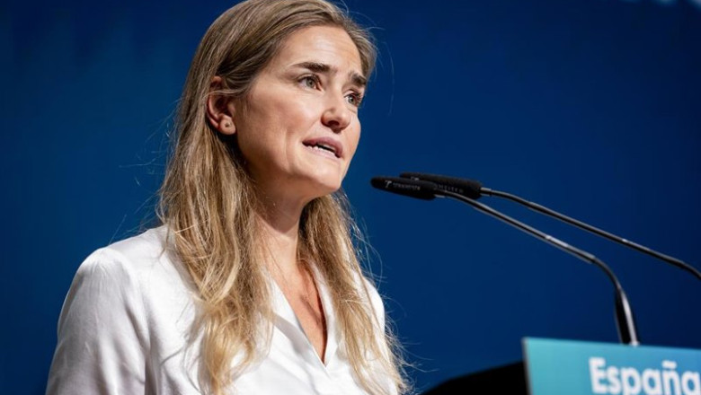 ep la vicepresidenta tercera y ministra para la transicion ecologica y reto demografico sara aagesen