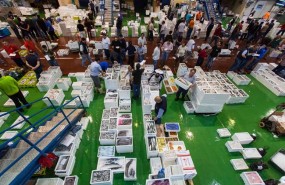 ep mercado mayoristapescadocordoba