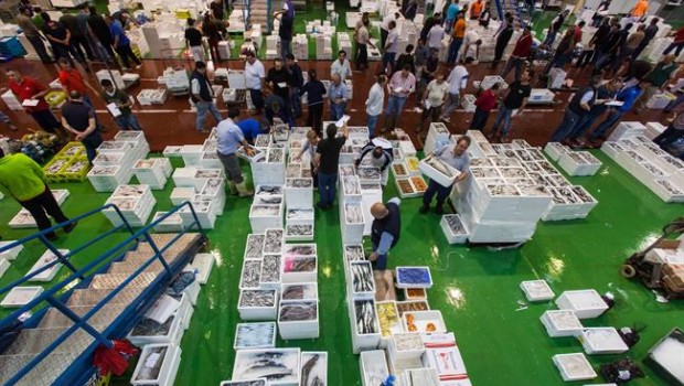 ep mercado mayoristapescadocordoba