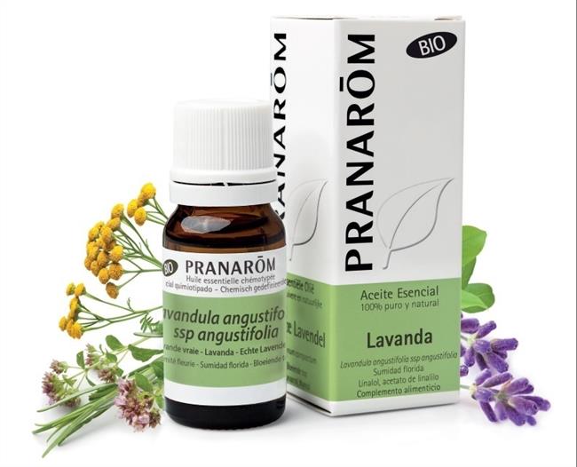Panarom | PRANAROM ep panarom