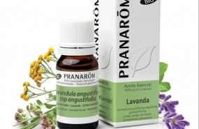 ep panarom