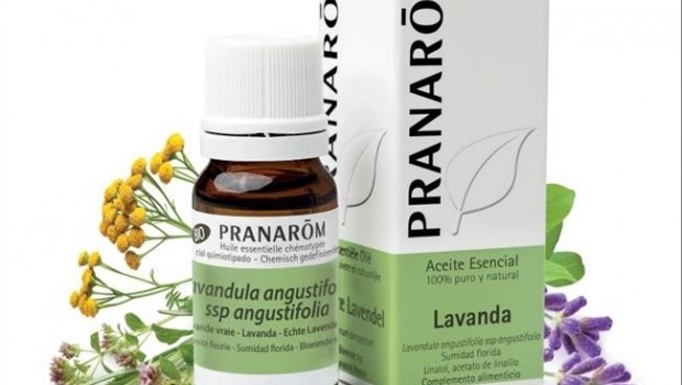 ep panarom