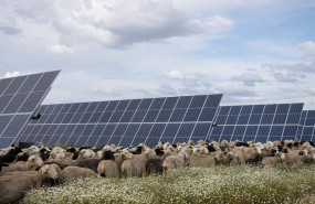 ep parque de talayuela solar en extremadura de statkraft