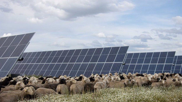 ep parque de talayuela solar en extremadura de statkraft