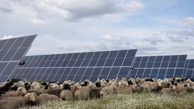 ep parque de talayuela solar en extremadura de statkraft