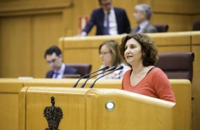 ep pilar garrido senadoraunidos podemos