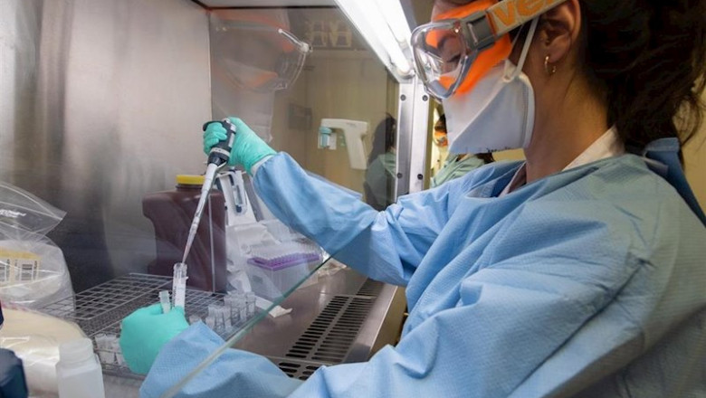ep servicio de virologia del servicio de microbiologia del hospital clinic donde se realizan algunas