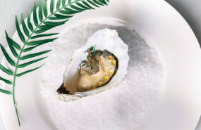 1589360752 amelie huitres