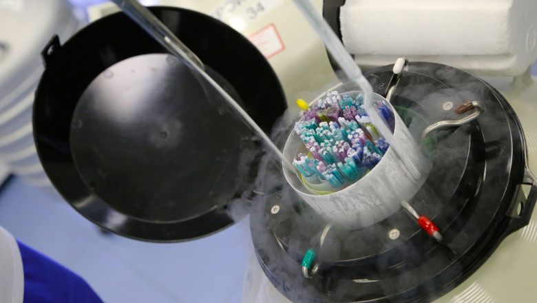 1591603396 shutterstock1225484992