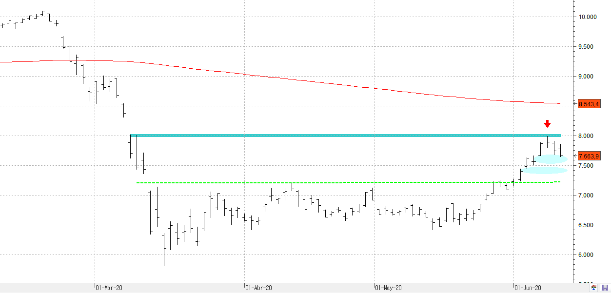 c100620ibex