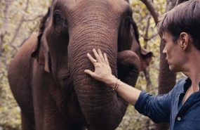 camboya20 20240503115652 camboya20 20240503115652