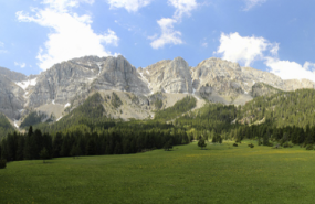 captura de pantalla 2025 09 26 a les 173012 captura de pantalla 2025 09 26 a les 173012