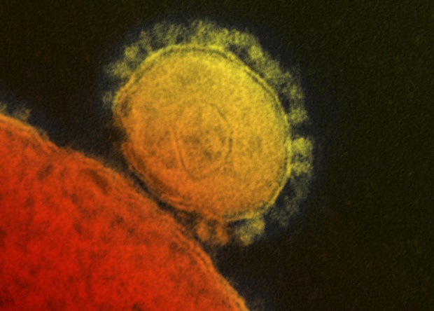 La OMS volverá a estudiar este jueves declarar la emergencia internacional por el coronavirus en China