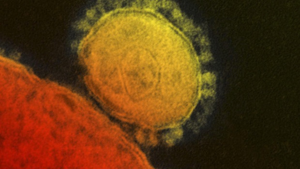 coronavirus virus