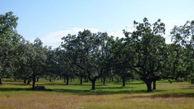 ep archivo   una finca rustica de titularidad municipal