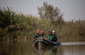ep efectivos de la guardia civil en el lago de la albufera en valncia durante las labores de