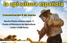 ep el sector apicola se concentra en maddrid en defensa de la miel y la apicultura espanola
