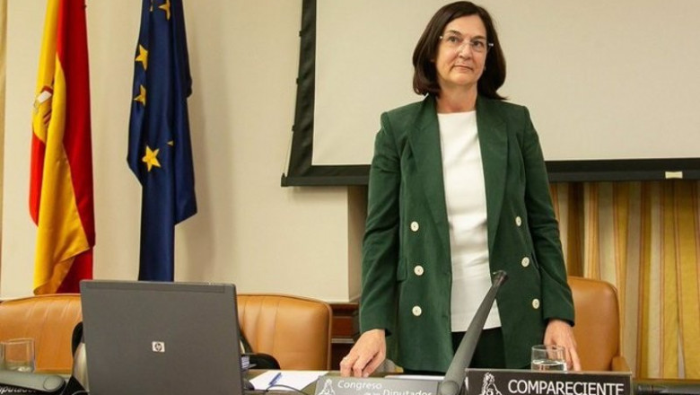 ep la presidenta de la cnmc cani fernandez ep la presidenta de la cnmc cani fernandez