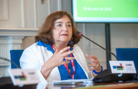 ep lapresidenta de asociacion espanola de energia electrica aelec marina serrano durante su