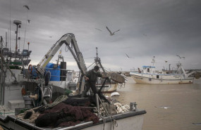 ep llegada de un barco pesquero a la lonja de la cofradia de pescadores de sanlucar de barrameda