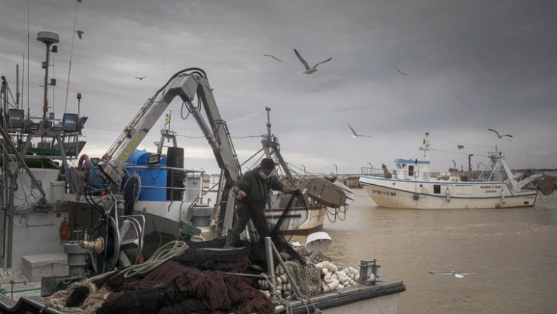 Llegada de un barco pesquero a la lonja de la Cofradía de Pescadores de Sanlúcar de Barrameda | María José López - Europa Press - Archivo ep llegada de un barco pesquero a la lonja de la cofradia de pescadores de sanlucar de barrameda