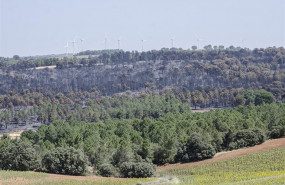 ep monte quemadobarchinhoyo cuenca tres dias despuesinicioincendio forestalha arrasado entornolas 2000 hectareasterreno los equiposextincionyala liquidacionpuntos calientesen asegurarflanco dere
