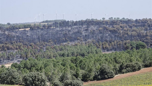 ep monte quemadobarchinhoyo cuenca tres dias despuesinicioincendio forestalha arrasado entornolas 2000 hectareasterreno los equiposextincionyala liquidacionpuntos calientesen asegurarflanco dere
