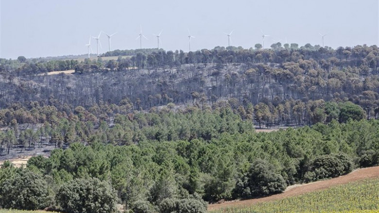 Monte quemado en Barchín del Hoyo (Cuenca) tres días después del inicio del incendio forestal que ha arrasado entorno a las 2.000 hectáreas de terreno. Los equipos de extinción trabajan ya en la liquidación de puntos calientes y en asegurar el flanco dere | Robayna - Europa Press ep monte quemadobarchinhoyo cuenca tres dias despuesinicioincendio forestalha arrasado entornolas 2000 hectareasterreno los equiposextincionyala liquidacionpuntos calientesen asegurarflanco dere